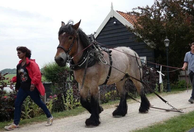 B&b Rechthuis Van Zouteveen