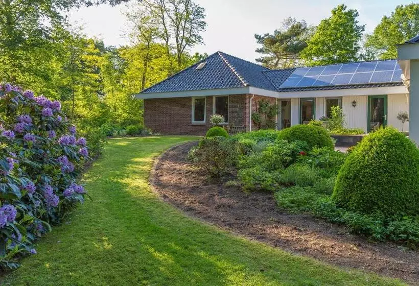 B&b Schipborg