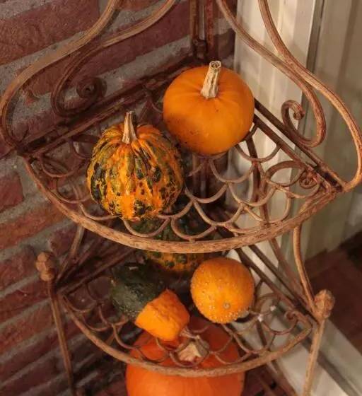B&b Schipborg
