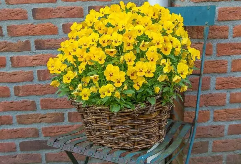 B&b Schipborg