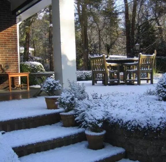 B&b Schipborg