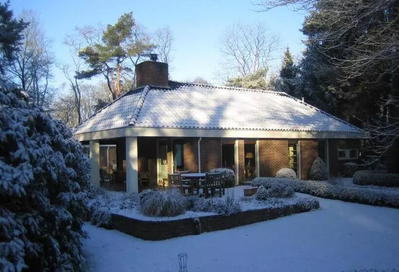 B&b Schipborg