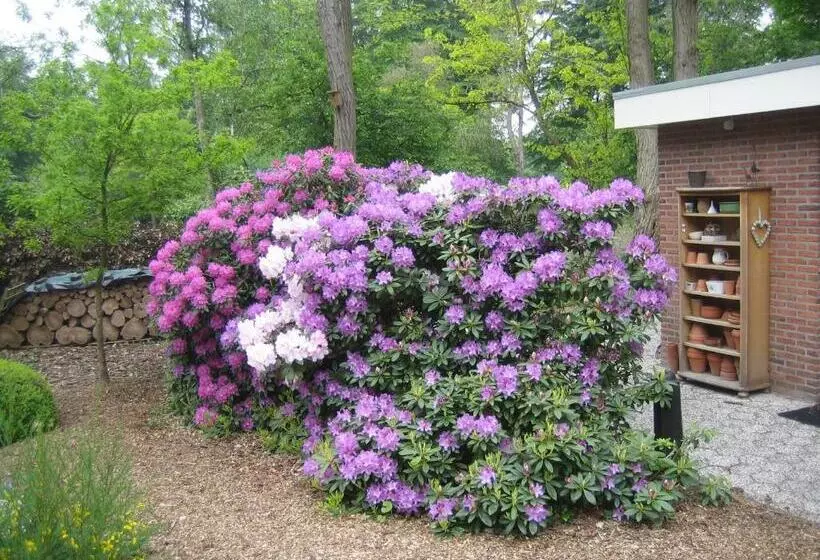 B&b Schipborg