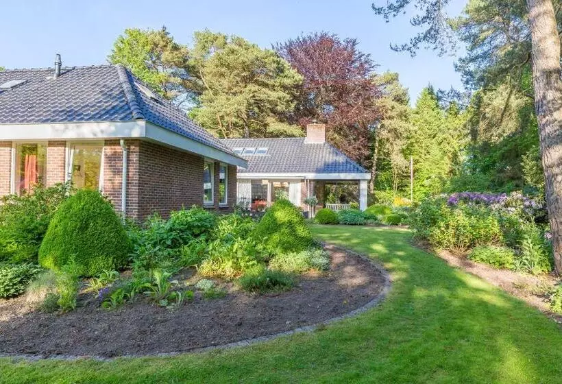 B&b Schipborg