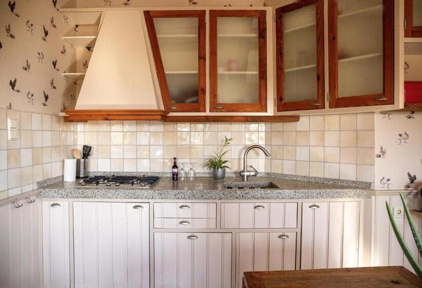 تختخواب و صبحانه Boerenhofstede De Overhorn