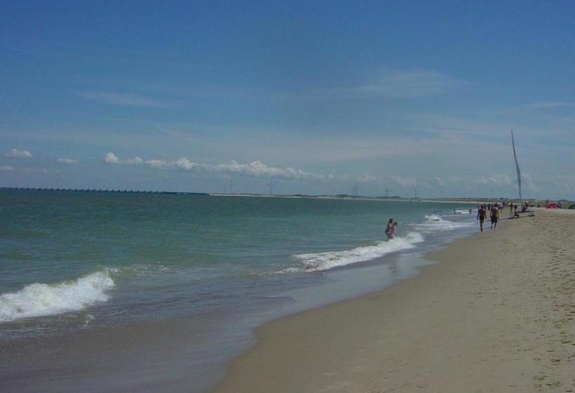 住宿加早餐 Nieboer