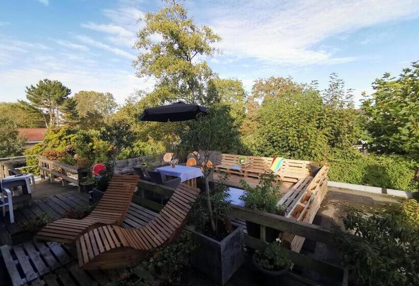 Duinberk B&b Hotel En Brasserie