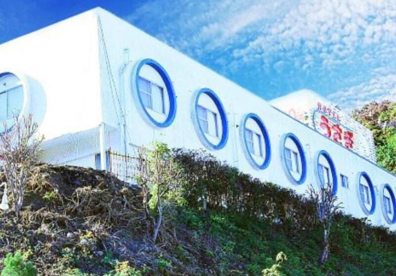 בית מלון כפרי うさぎ