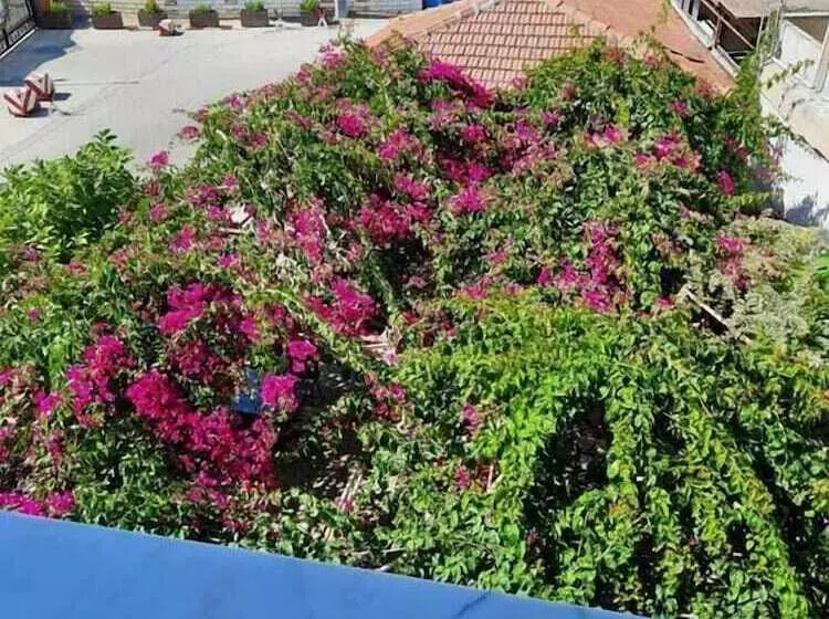 Yunus Hotel & Bungalow