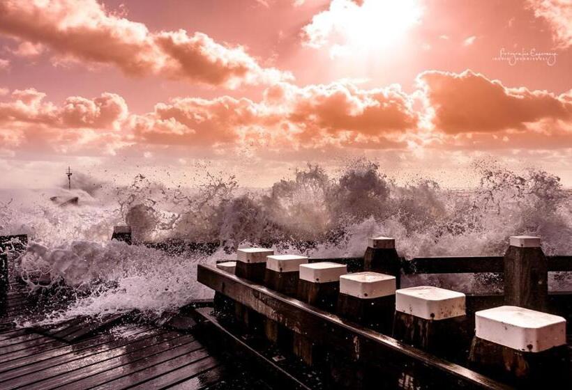 Bed And Breakfast De Kleyne Wereld