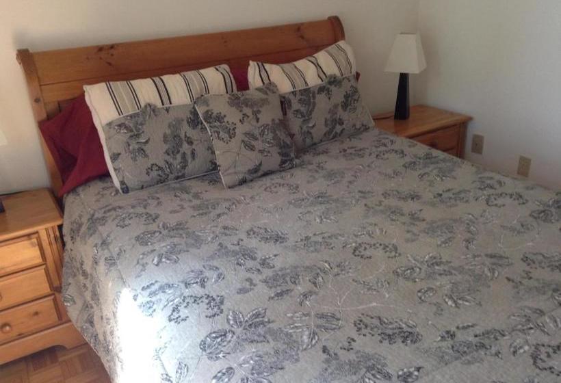 Chalet Au Bord De L Eau Le Nymphéa