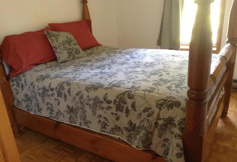 Chalet Au Bord De L Eau Le Nymphéa