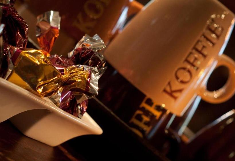 בית מלון כפרי De Oude Molen