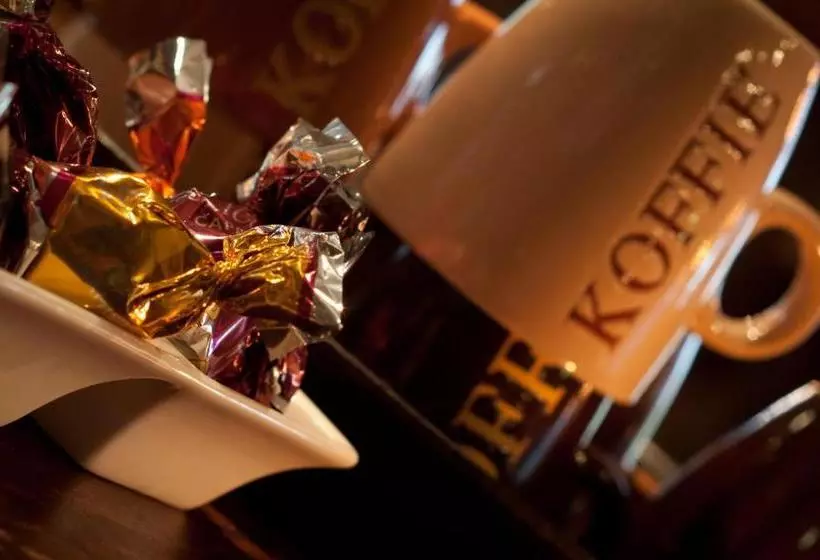 هتل De Oude Molen