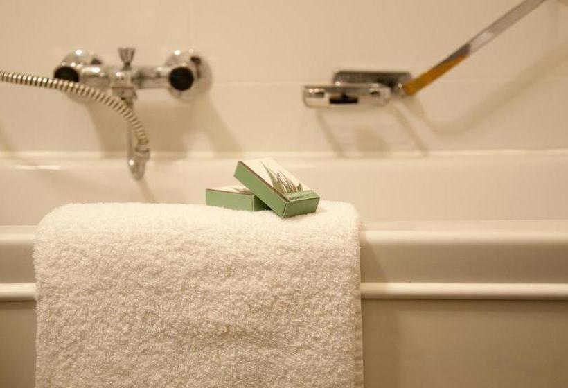 בית מלון כפרי De Oude Molen