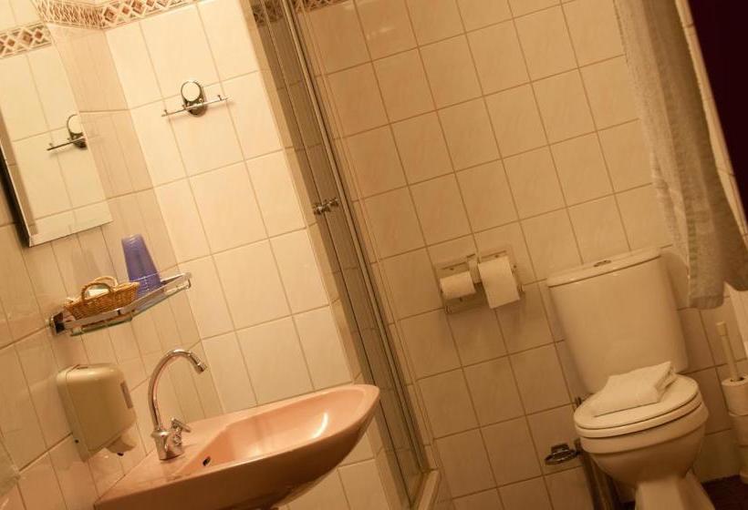 בית מלון כפרי De Oude Molen