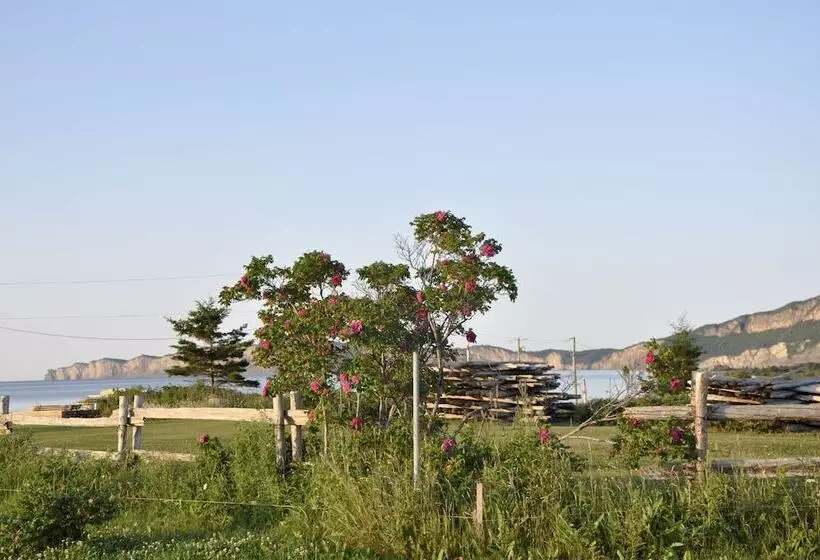 Motel Du Haut Phare