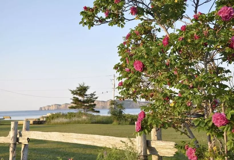 Motel Du Haut Phare