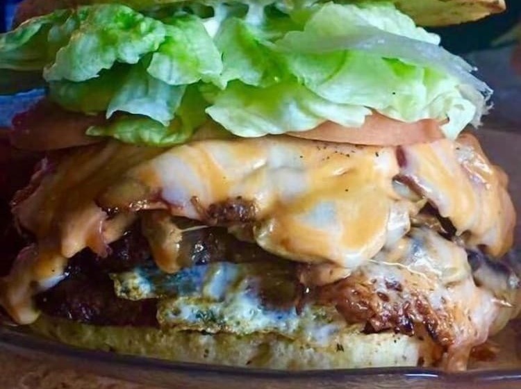 מוטל Northwood Plaza