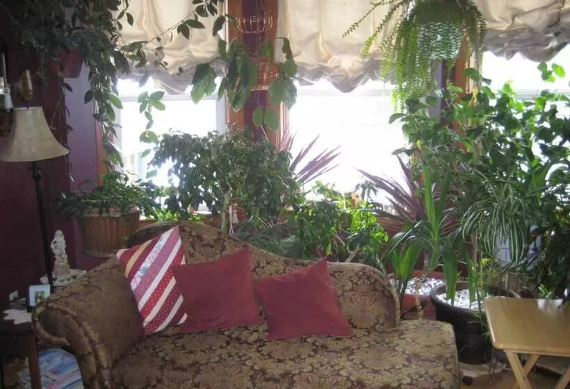 Phoenix House B&b