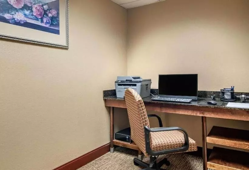 ホテル Comfort Inn & Suites Suwanee   Sugarloaf