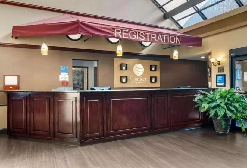 ホテル Comfort Inn & Suites Suwanee   Sugarloaf