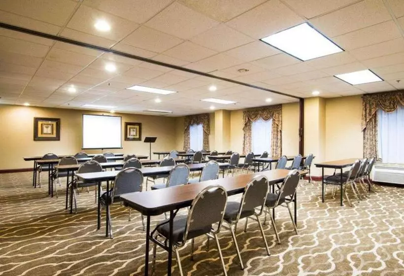 ホテル Comfort Inn & Suites Suwanee   Sugarloaf
