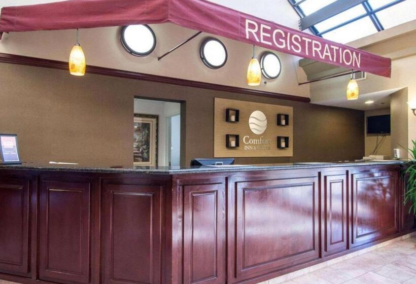 ホテル Comfort Inn & Suites Suwanee   Sugarloaf