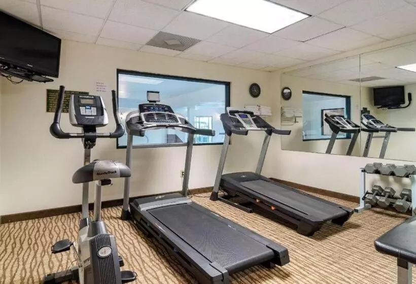 ホテル Comfort Inn & Suites Suwanee   Sugarloaf
