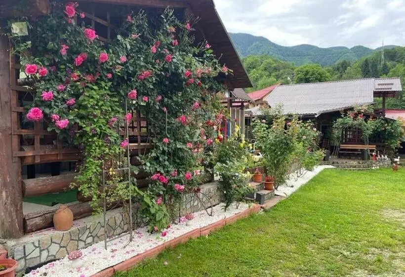Pensjonat Vila Maria