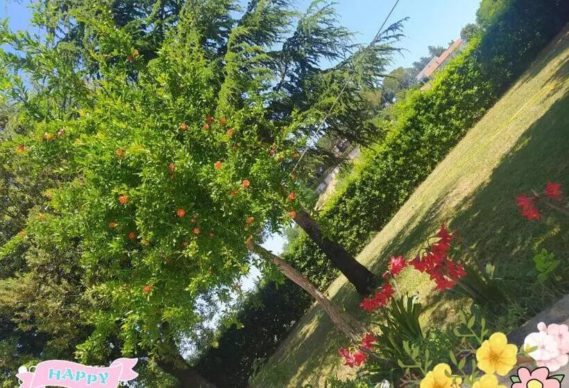 Aamiaismajoitus (B&B) Belvedere Baiocco
