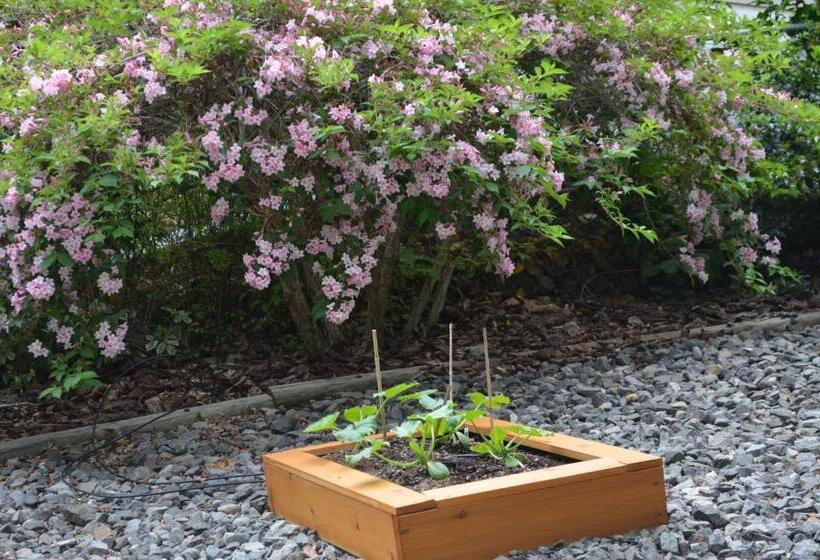 Dogwood Bed & Breakfast