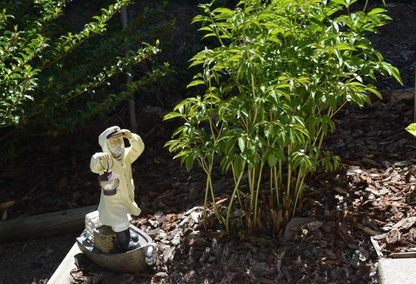 Dogwood Bed & Breakfast