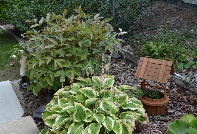 Dogwood Bed & Breakfast