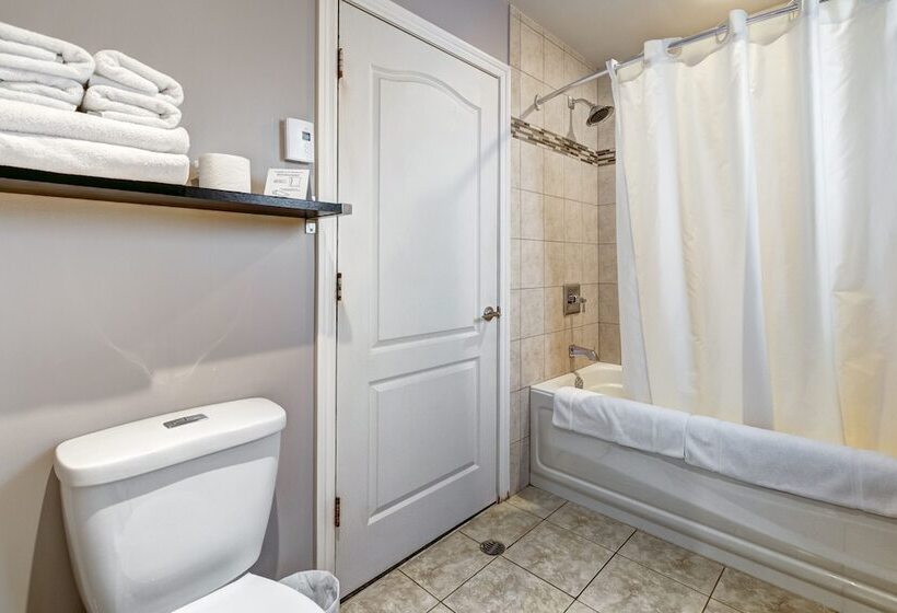 فندق على الطريق Auberge St. Jacques