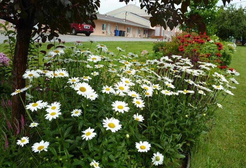 Motel Becancour