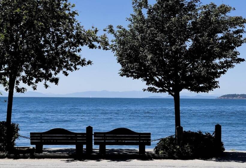 汽车旅馆  Oceanside Villas