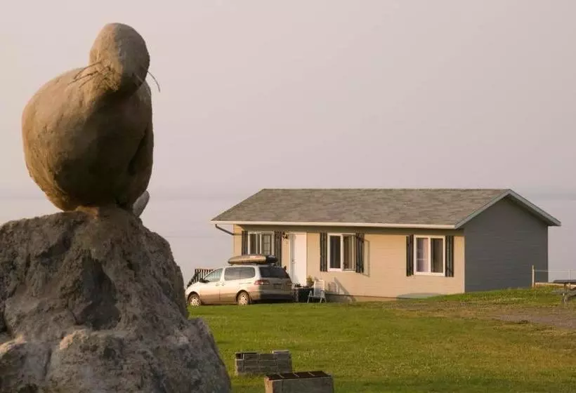 Motel Seal Rock