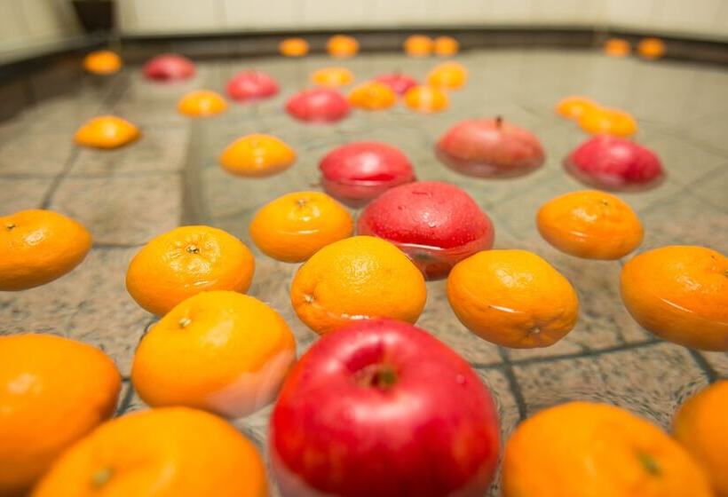 ריוקאן Kinosaki The Crab House Kanian