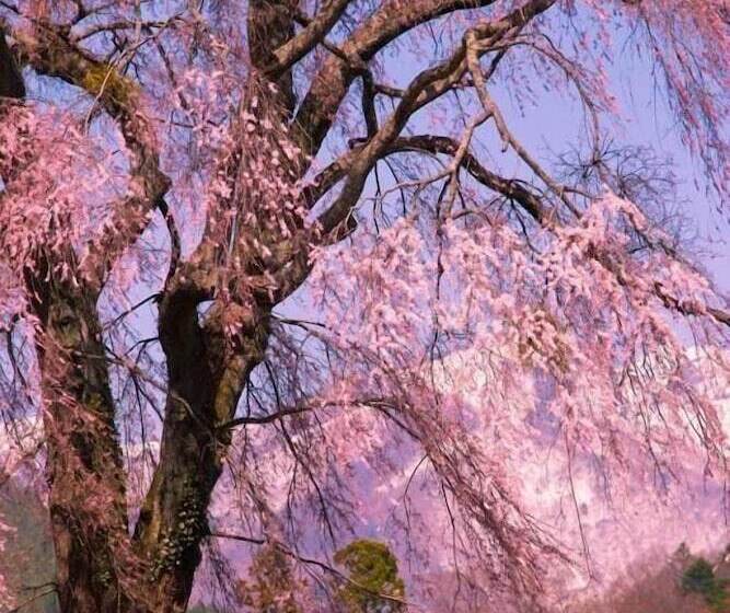 Tanigawadake Raspberry Youth Hostel