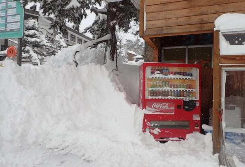 ユースホステル Hakuba Cortina Lodge