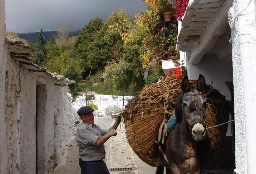 Aamiaismajoitus (B&B) Sierra Y Mar