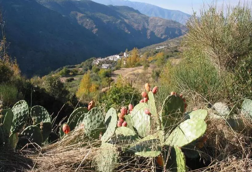 Aamiaismajoitus (B&B) Sierra Y Mar