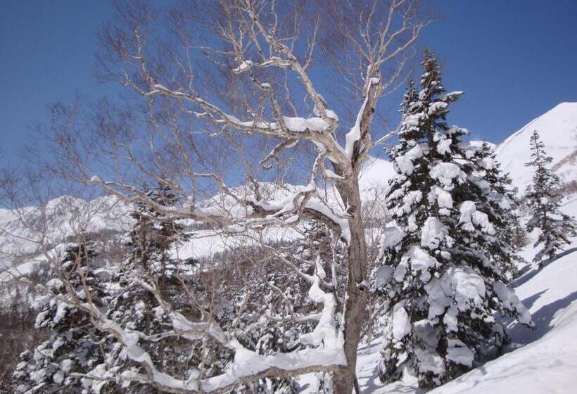 هتل La Montagne Furuhata