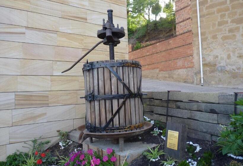 酒店 Los Calaos De Briones