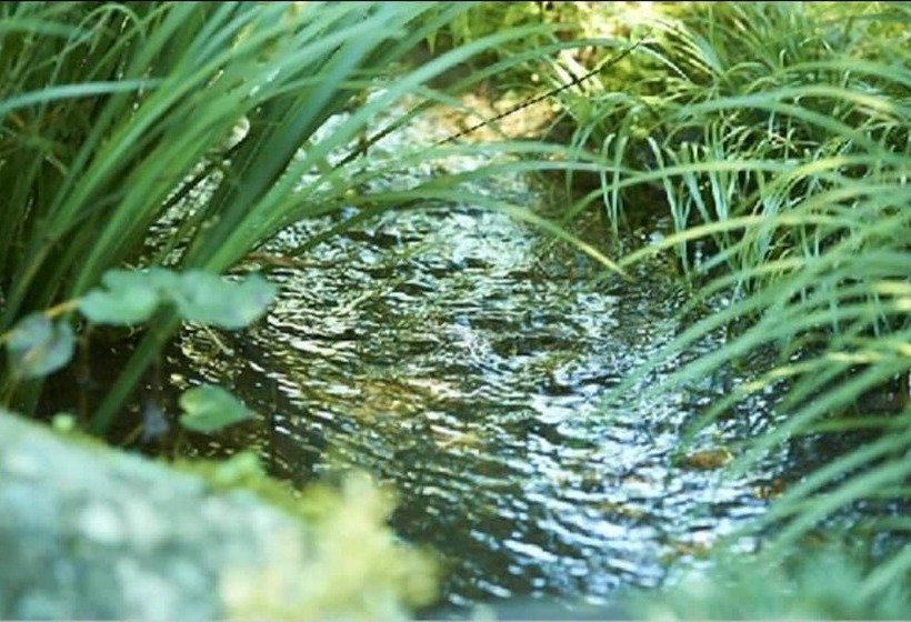 ריוקאן Asono Yamaboshi