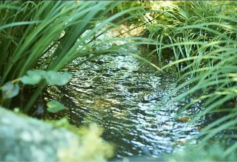 ریوکان Asono Yamaboshi