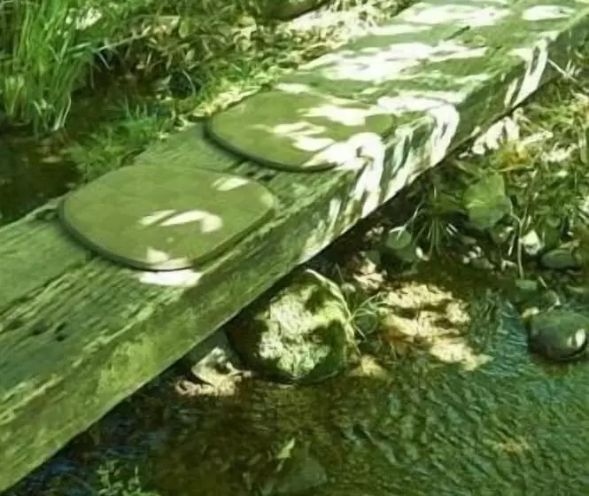 ریوکان Asono Yamaboshi