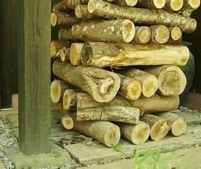 ריוקאן Asono Yamaboshi