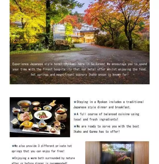 ریوکان Ichikawa Bekkan Seikanso